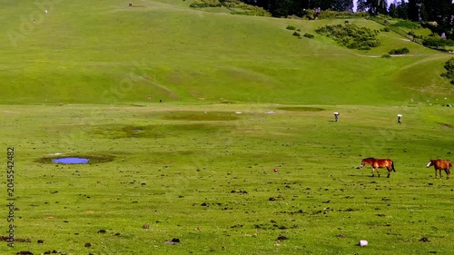 Doodpathri Budgam Tourist Destination in Kashmir 2026, Scenic Meadows, Rivers and Mountains