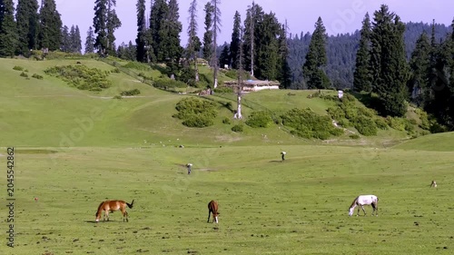 Doodpathri Budgam Tourist Destination in Kashmir 2026, Scenic Meadows, Rivers and Mountains