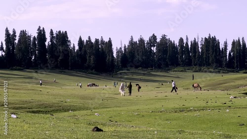 Doodpathri Budgam Tourist Destination in Kashmir 2026, Scenic Meadows, Rivers and Mountains