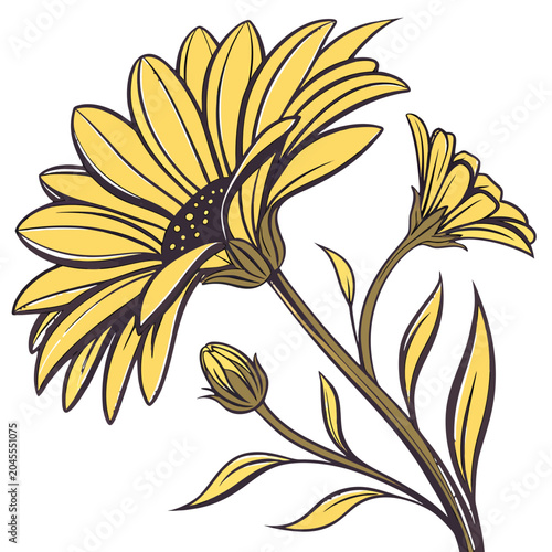 yellow flowers isolated on white background