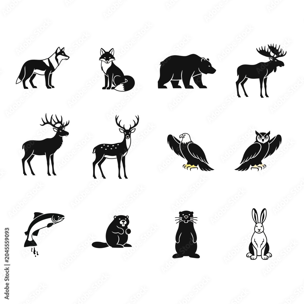 Fototapeta premium Collection of various wild animals in black silhouette