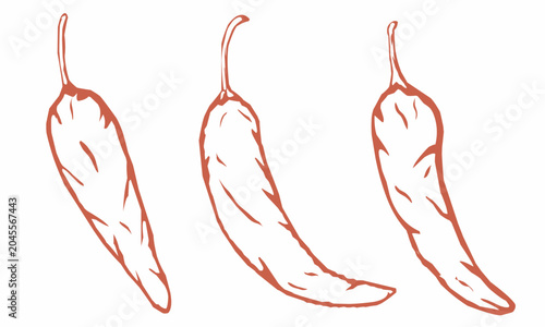 Fotografi doodle, chili, cayenne, spicey, pepper, hot, plant, paprika, Jalapeño, Habanero,