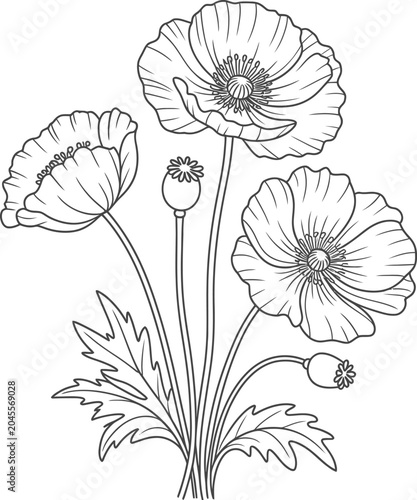 vector illustration of a flower