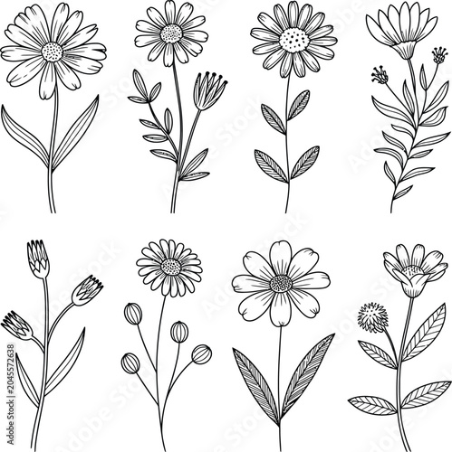 set of vector flowers