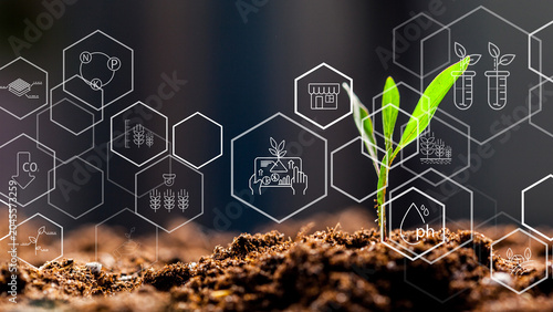 Canvastavla Smart farm technology grows plants with data and innovation for better crop mana