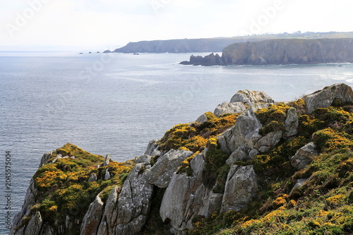 Tableau sur toile Der malerische Küstenpfad am Pointe du Van schlängelt sich durch eine weite, leuchtend gelb blühende Heidelandschaft, vorbei an schroffen Felsen direkt über dem tiefblauen Atlantik