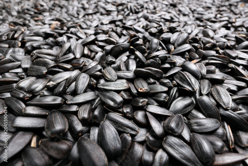 Bild auf Leinwand Black sunflower seeds texture close up