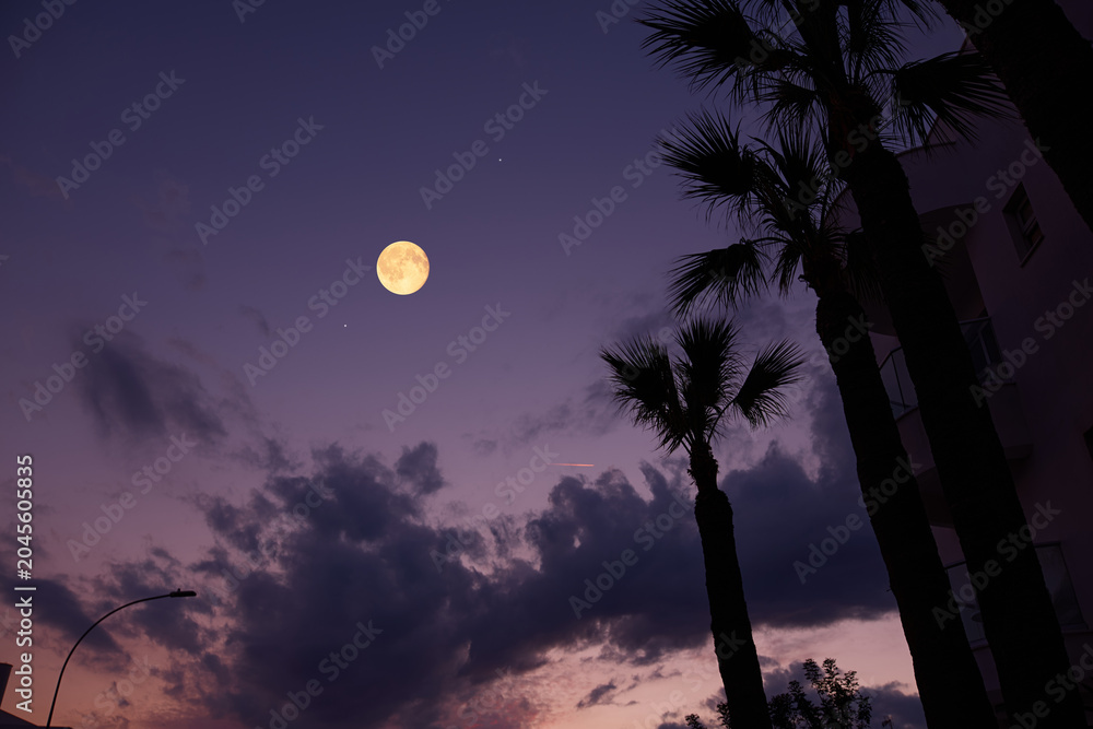 Obraz premium Full Moon with urban silhouettes.