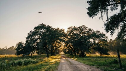 Juneteenth Sunrise Over Country Road and Oak Trees. Generative AI.