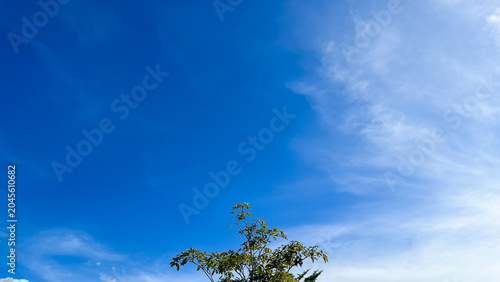 Obraz na plátně Clear blue sky with wispy white clouds