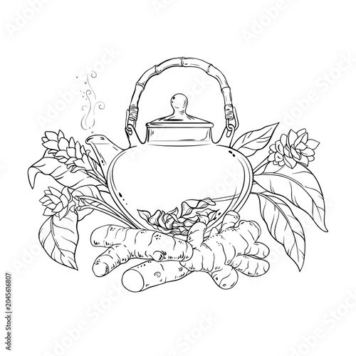 Turmeric Tea in Teapot aroma beverage Outline Illustration. Vector isolated for Design and Decoration for Cafeteria, Posters, Banners, Cards.