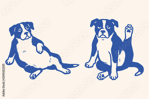 Photos Two cute boston terrier puppies sitting on floor Vector