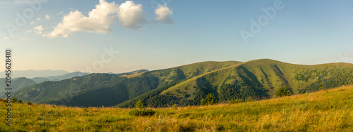 Vászonkép Summer sunlight casting long shadows over undulating green hills and alpine mead