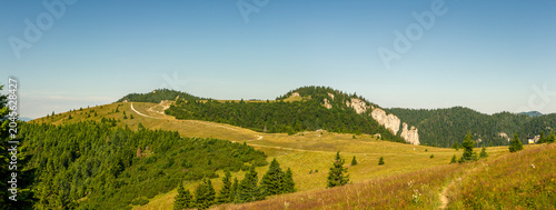 Sunny summer landscape with winding trail, rocky hill, green forest and meadows under clear blue sky