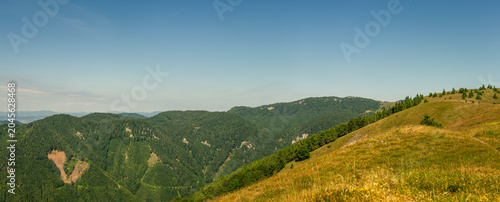 Extensive rolling green hills and dense forests blending together under bright blue sky during summer season in mountains