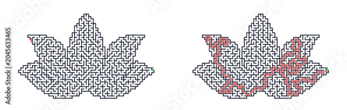 Flower maze game illustration featuring intricate maze design  