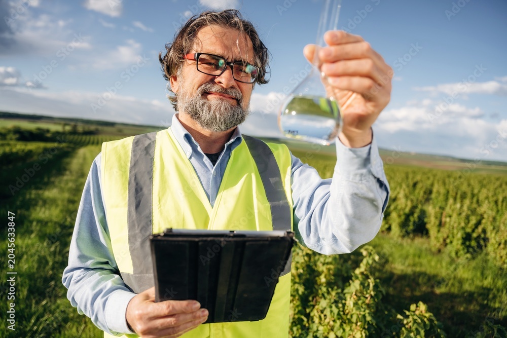 Fototapeta premium Male agricultural scientist in reflective vest examines liquid in flask while holding tablet in vineyard under clear blue sky with green grapevines in the background
