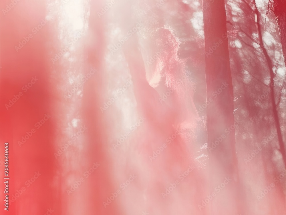 Fototapeta premium A blend of light and color creates an effect in the woods with a figure present in the background at midday
