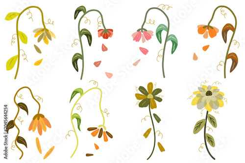 Wilted Flowers Set from Global Warming