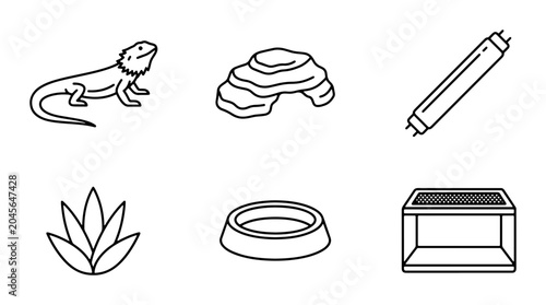 Foto Bearded Dragon Habitat Icons, Reptile Terrarium Elements, Pet Care Vector Set