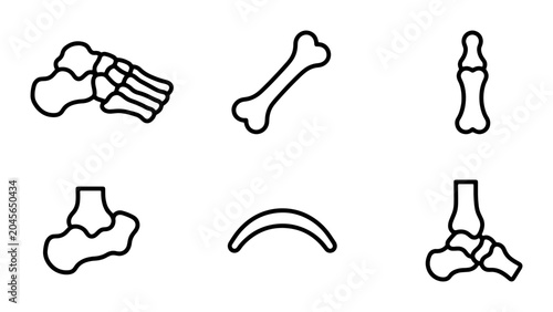 Bild auf Leinwand Human Foot and Bone Anatomy Icons, Medical Skeleton Elements, Orthopedic Illustr