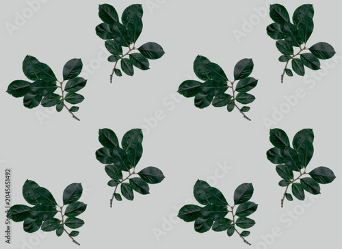 Black chokeberry leaves on a gray background. Floral seamless pattern.

