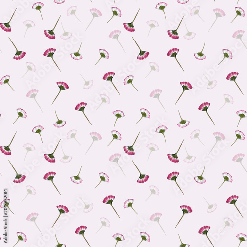 Floral seamless pattern. Daisy flower on a pink background. Vector.
