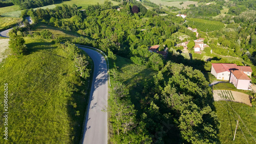 Foto Aerial View of Winding Road Through Lush Green Piedmont Countryside