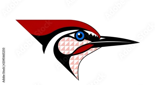 Red and black woodpecker head illustration.