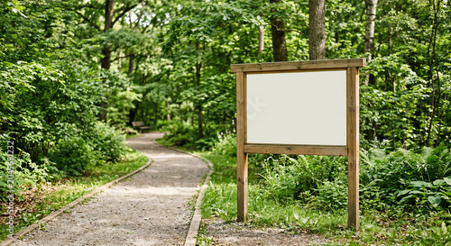 A wooden signpost stands on a winding forest path surrounded by lush greenery and dense foliage.