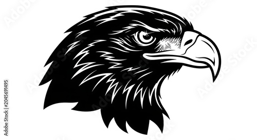 Black and white eagle head illustration.