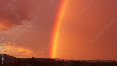 Golden Rainbow Over Forest Horizon at Sunset