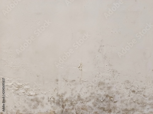 Obraz na plátne ​Dirty white concrete wall texture with mold and damp patches caused by water da
