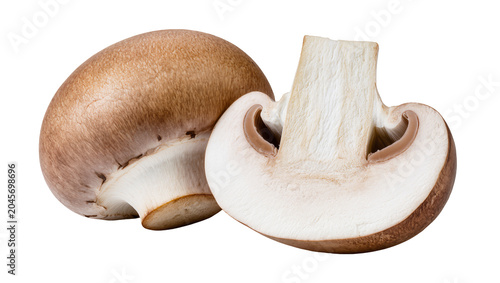 Konstfotografi Brown mushroom cut in half showing gills and stem