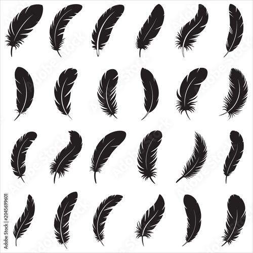 Feather Silhouette Clip Art