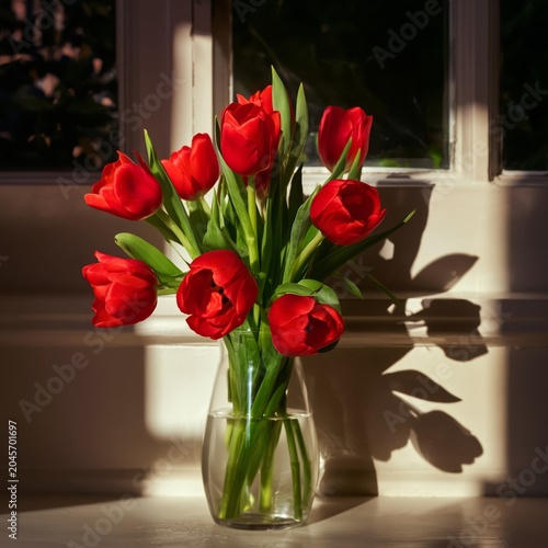 Red Tulips Arranged in a Glass Vase on a Windowsill During the Afternoon Ligh...