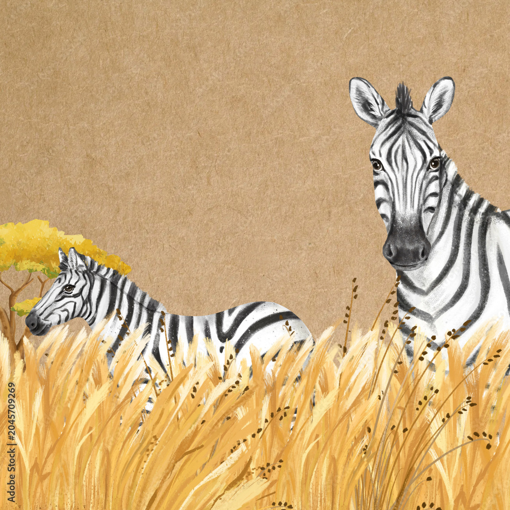 Obraz premium Cute zebra background, brown design