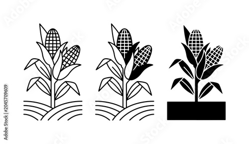 Bild auf Leinwand Corn Stalk Icons, Maize Plant Vector Graphics, Agricultural Crop Illustrations,
