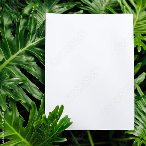 Blank Paper Placed Among Large Green Leaves in a Natural Setting With Good Li...