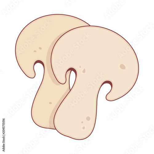 Two Porcini Mushroom sliced illustration cartoon cute