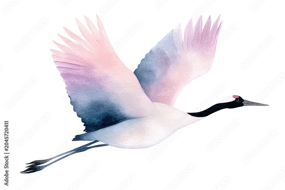 Fototapeta premium Elegant pastel toned watercolor crane bird flying against white background, expressing serenity and lightness. Excellent for calendars, invitations, posters, artistic wildlife collections