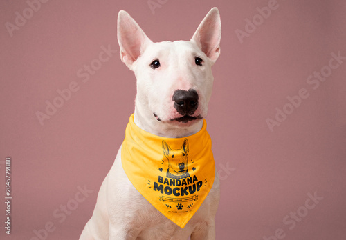 Dog bandana mockup on bull terrier