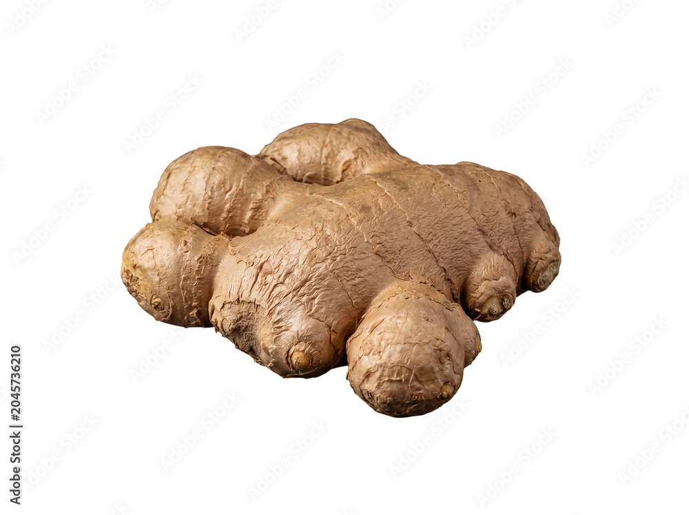 Fototapeta premium Whole fresh ginger root with earthy skin, ready for culinary use, isolated on a transparent background.