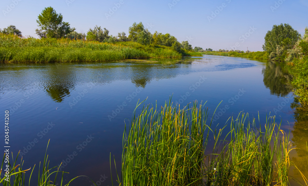 Obraz premium calm river with forest on coast under blue sky
