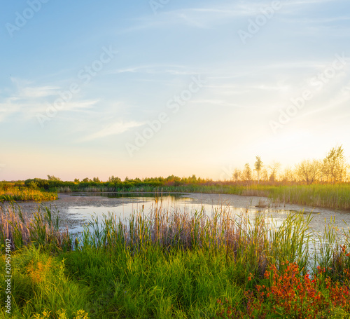 calm lake at the sunset, evening outdoor water scene