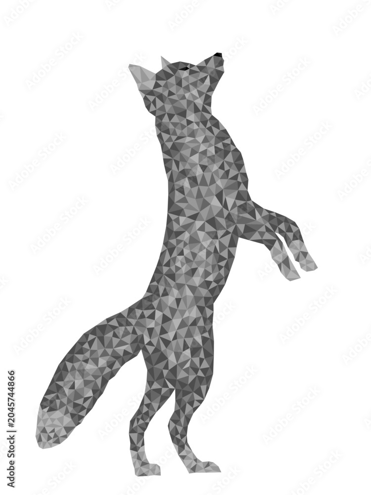 Fototapeta premium The gray geometric fox on a white background. 