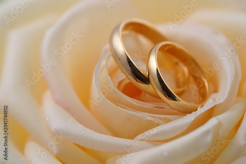 Elegant gold wedding rings resting on white roses with soft bokeh background, symbolizing love, romance, marriage, commitment, luxury, celebration, and eternal togetherness.