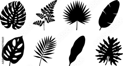 Fotografie Tropical leaves black silhouettes vector collection featuring monstera fern palm