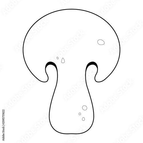 Obraz na płótnie Line Porcini Mushroom Slice illustration cartoon cute