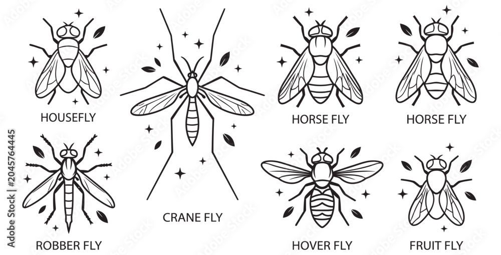 Obraz premium Collection of diverse insect illustrations including housefly, crane fly, horse fly, robber fly, hover fly, and fruit fly on transparent background